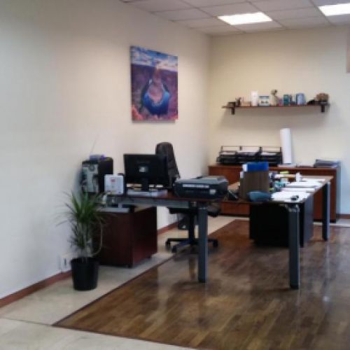 Imagen de oficiina con planta en primer plano y mesa con silla al fondo